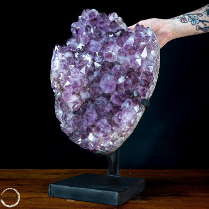 Natürliche Amethyst-Kristalle/Druse auf Ständer - 15604,12g