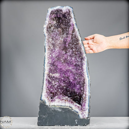 Amethyst-Druse–Naturkunst voller Kristallenergie- 25752,32g