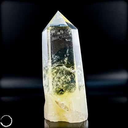 Top Qualität Transparenter Citrin Kristall - Brasilien - 325,18g