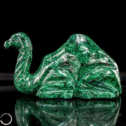 Sehr alte Malachit Skulptur Kamel, Kongo - 1844,82g