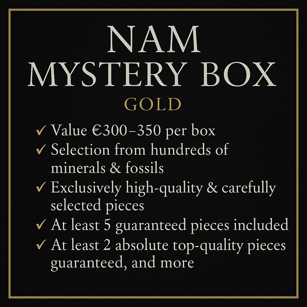 Neu! NAM Mystery Box - Level: Gold