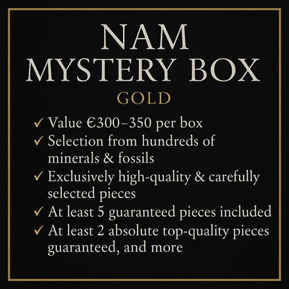 Neu! NAM Mystery Box - Level: Gold
