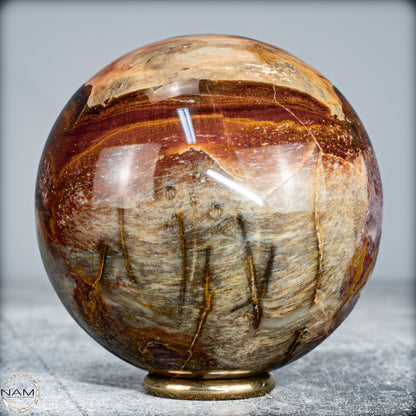 Natürliche Kristall-Kugel aus Versteinertem Holz  -519,34g