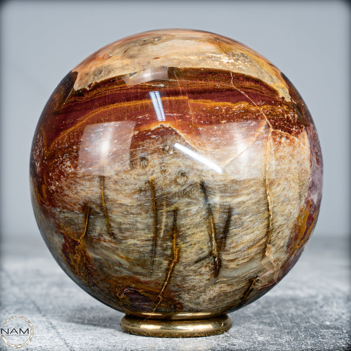 Natürliche Kristall-Kugel aus Versteinertem Holz  -519,34g