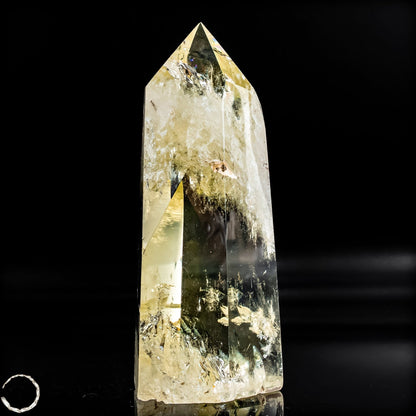 Top Qualität Transparenter Citrin Kristall - Brasilien -286,69g