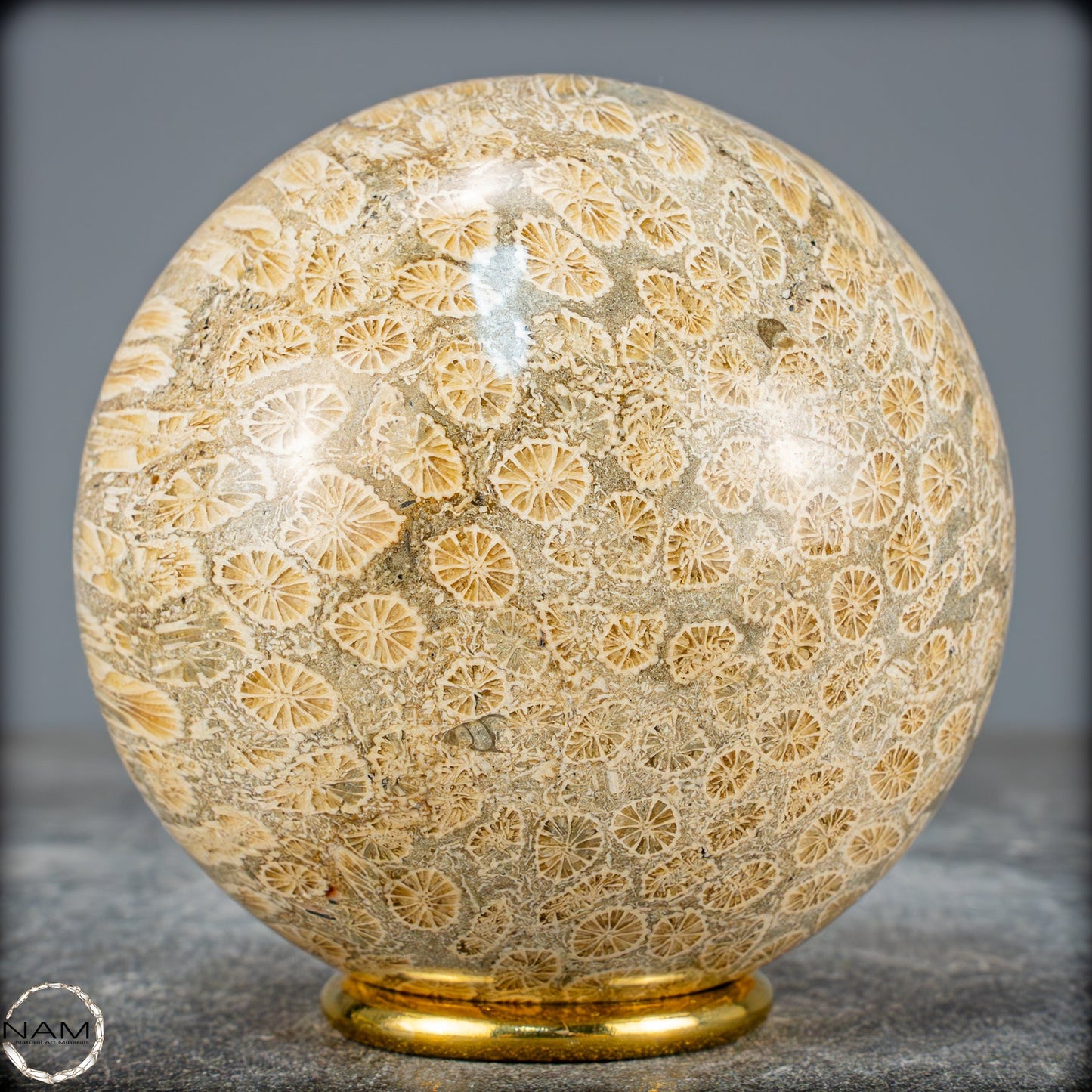 Natürliche Fossile Koralle als Kugel - 860,95g