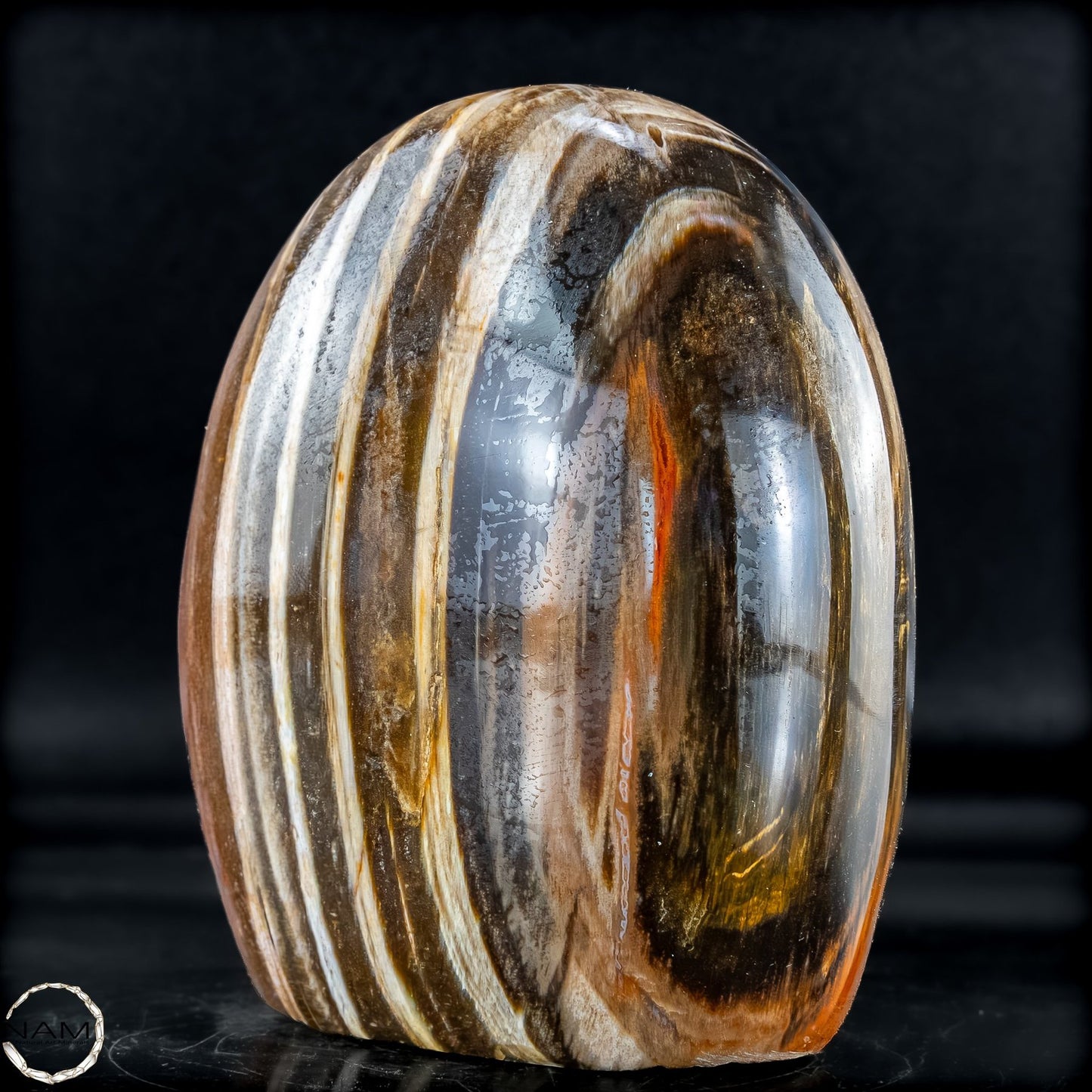 Natürliche Kristall-Freiform aus Versteinertem Holz  - 893,59g