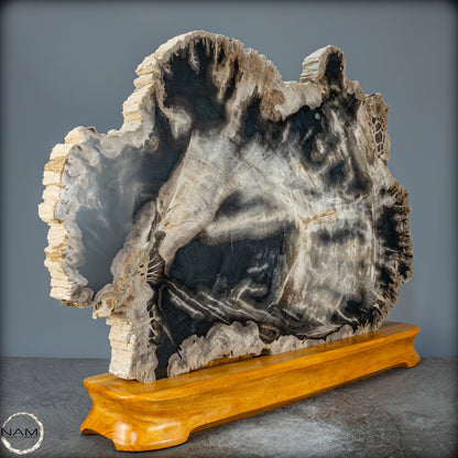 Natürliche Versteinerte Holz Kristall-Scheibe aus Arizona - 16728,48g