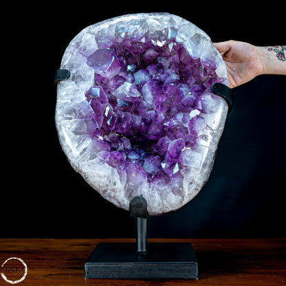 Große Natürliche Amethyst-Kristalle/Druse auf Ständer - 25653,08g