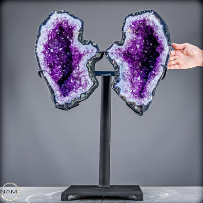 Natürliche Amethyst Drusen Flügel auf Ständer - 24320,31g