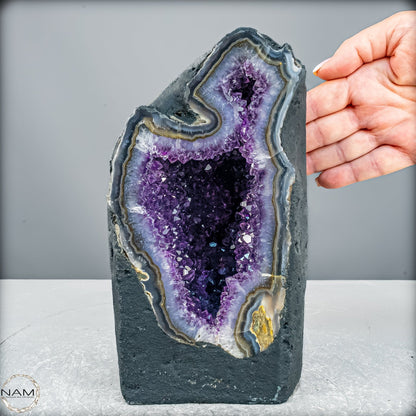 Amethyst-Druse Kathedrale – Naturwunder aus Uruguay – 3833,45g