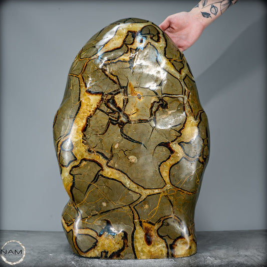 Natürliche Septarien Freiform aus Madagaskar – 54429,38g