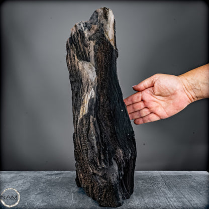 Feenholz – Ein außergewöhnliches Naturkunstwerk  – 7174,96g