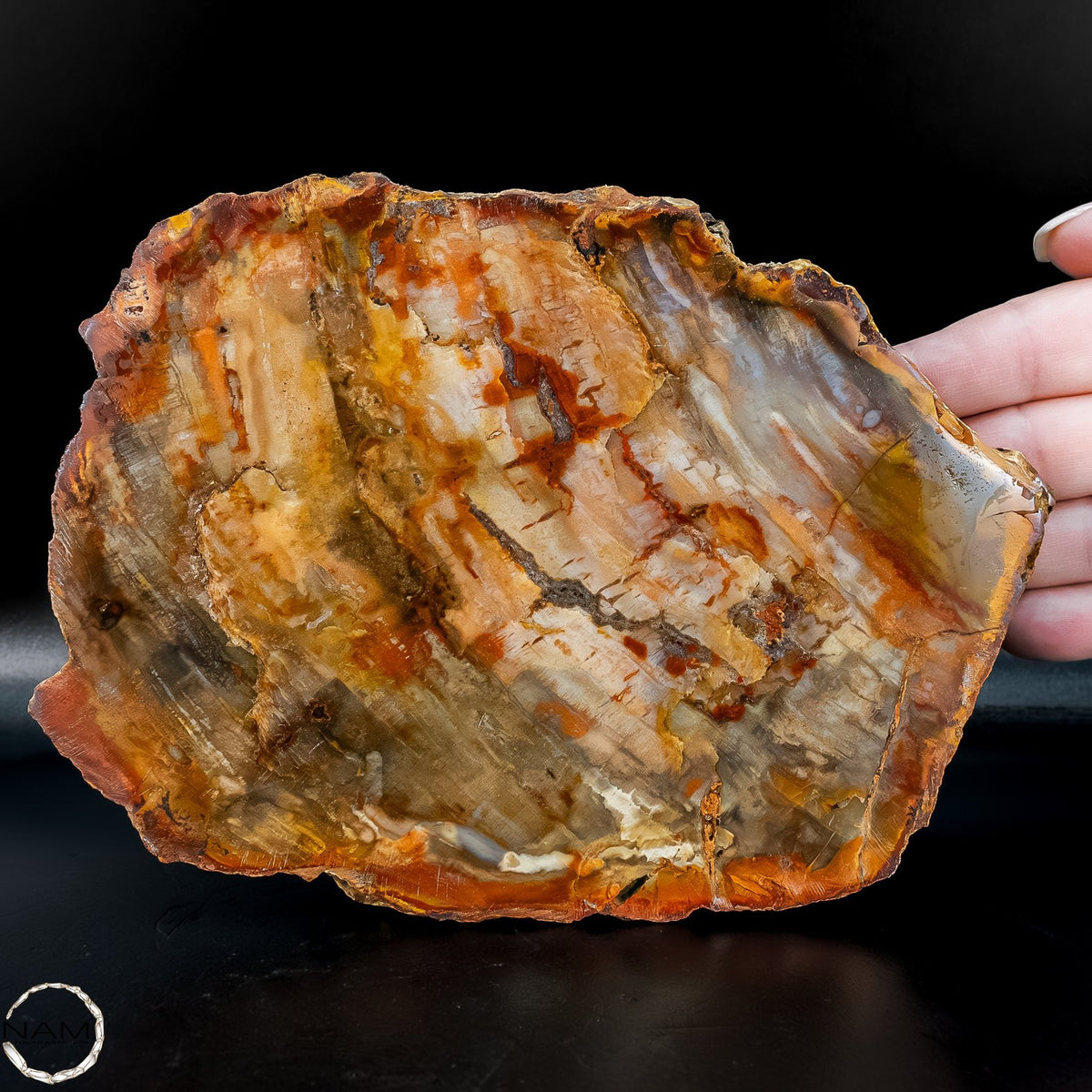 Natürliche Versteinerte Holz Kristall-Scheibe aus Arizona - 762,48g