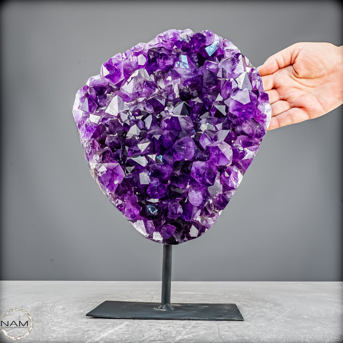 Amethyst Druse auf elegantem Metallständer - 6100,24g