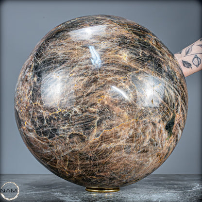 Natürliche Funkelnde Mondstein Kristall-Kugel - 38392,17g