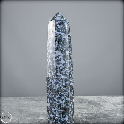 Natürlicher Merlinit (Gabbro) Kristall Obelisk - 821,77g