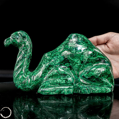 Sehr alte Malachit Skulptur Kamel, Kongo - 1844,82g