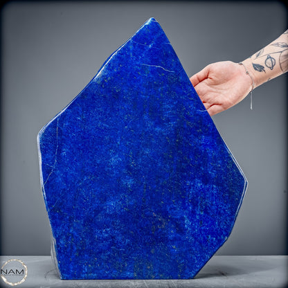 Königsblaue Lapis Lazuli Freiform – 15 kg pure Eleganz - 15084,72g