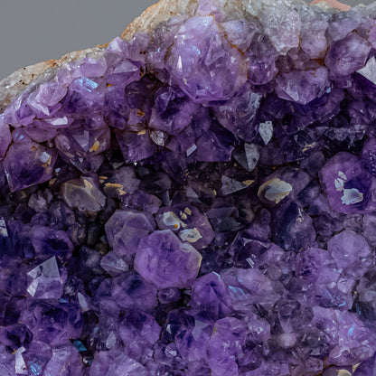 Riesen Kaktus-Amethyst aus Südafrika - 11765,71g