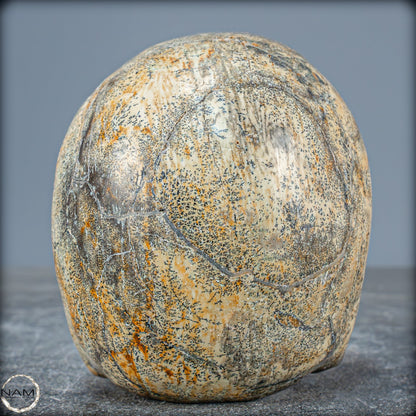 Schädel aus hochwertigem dendritischem Achat -997,18g