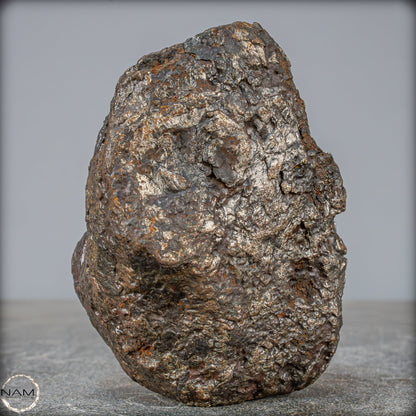 Natürlicher Sehr Großer Meteorit Campo Del Cielo, Argentinien - 1351,89g