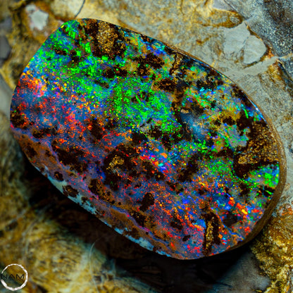 Natürlicher AAA+ Boulder Opal aus Australien Edelsteinqualität - 68,92ct