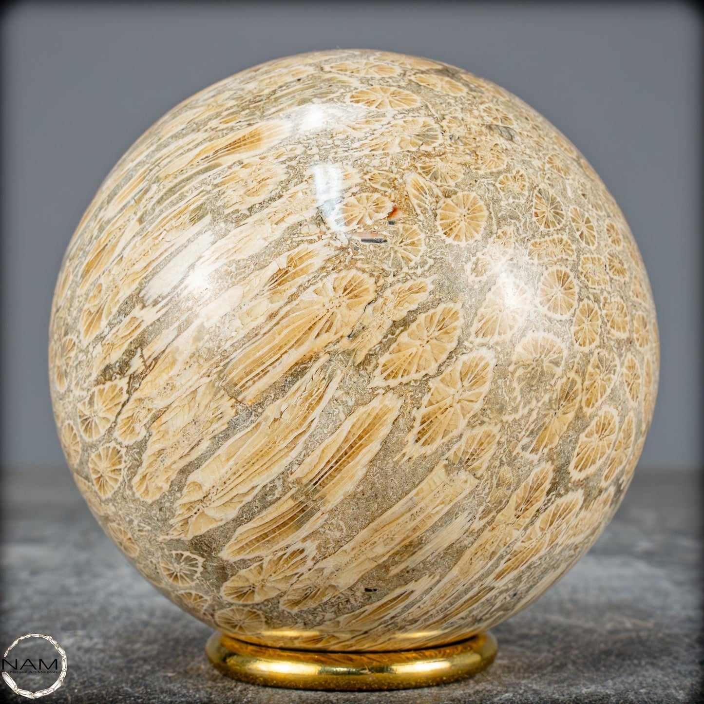 Natürliche Fossile Koralle als Kugel - 860,95g