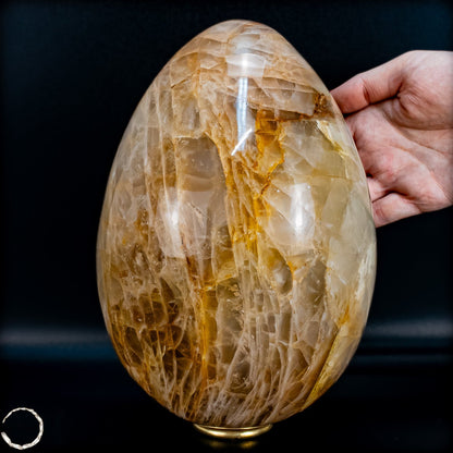 Golden Healer Quarz-Ei aus Brasilien - 5707,33g