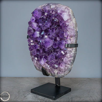 Natürliche Amethyst-Kristalle/Druse auf Ständer - 12881,84g