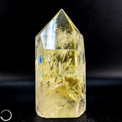 Top Qualität Transparenter Citrin Kristall - Brasilien -295,12g