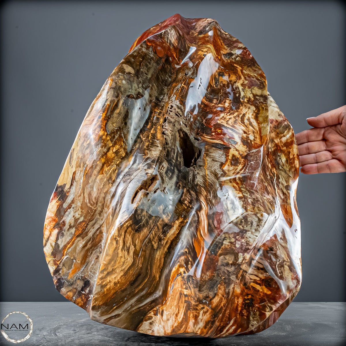 Natürliche Kristall-Flamme aus Versteinertem Holz  - 57231,11g