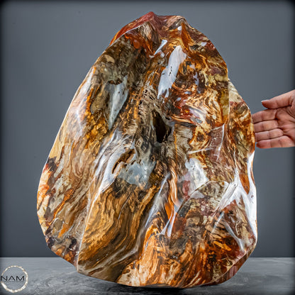 Natürliche Kristall-Flamme aus Versteinertem Holz  - 57231,11g