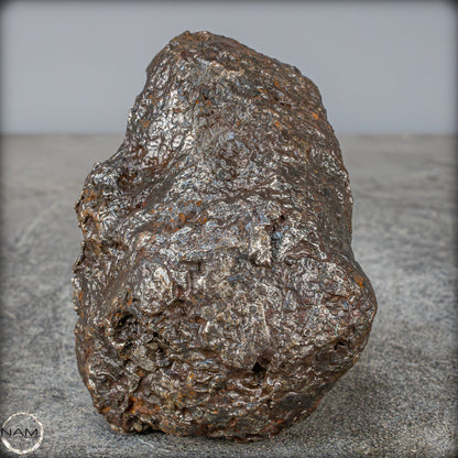 Natürlicher Sehr Großer Meteorit Campo Del Cielo, Argentinien - 1351,89g