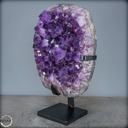 Natürliche Amethyst-Kristalle/Druse auf Ständer - 12881,84g