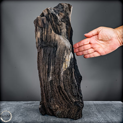 Feenholz – Ein außergewöhnliches Naturkunstwerk  – 7174,96g