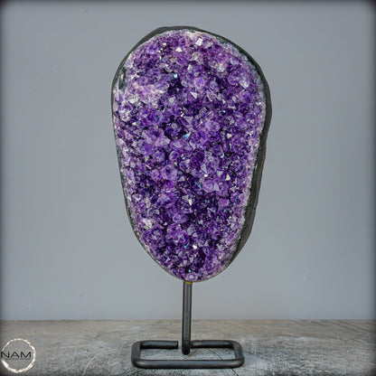 Natürliche Amethyst-Kristalle/Druse auf Ständer - 3254,18g