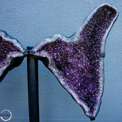 Einzigartige Massive Amethyst-Geode - Museumsqualität - 81 KG