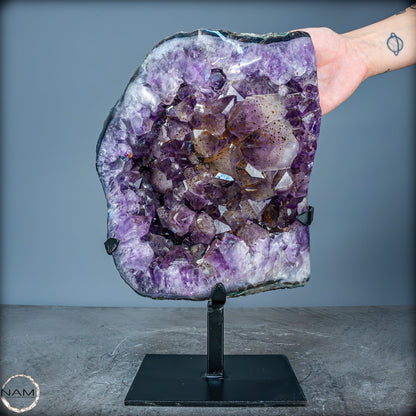 Natürliche Amethyst-Kristalle/Druse auf Ständer - 8280,11g