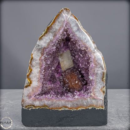 Amethyst-Druse Kathedrale – Naturwunder aus Uruguay –1663,29g
