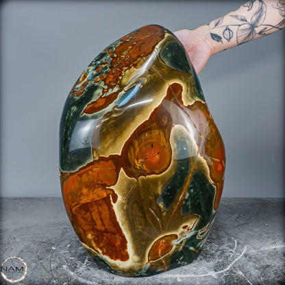 Natürliche Polychrome Jaspis Kristall-Freiform XXL -26101,22g
