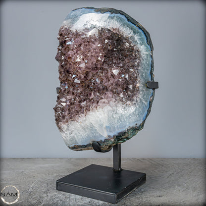 Natürliche Amethyst-Kristalle/Druse auf Ständer - 8581,93g