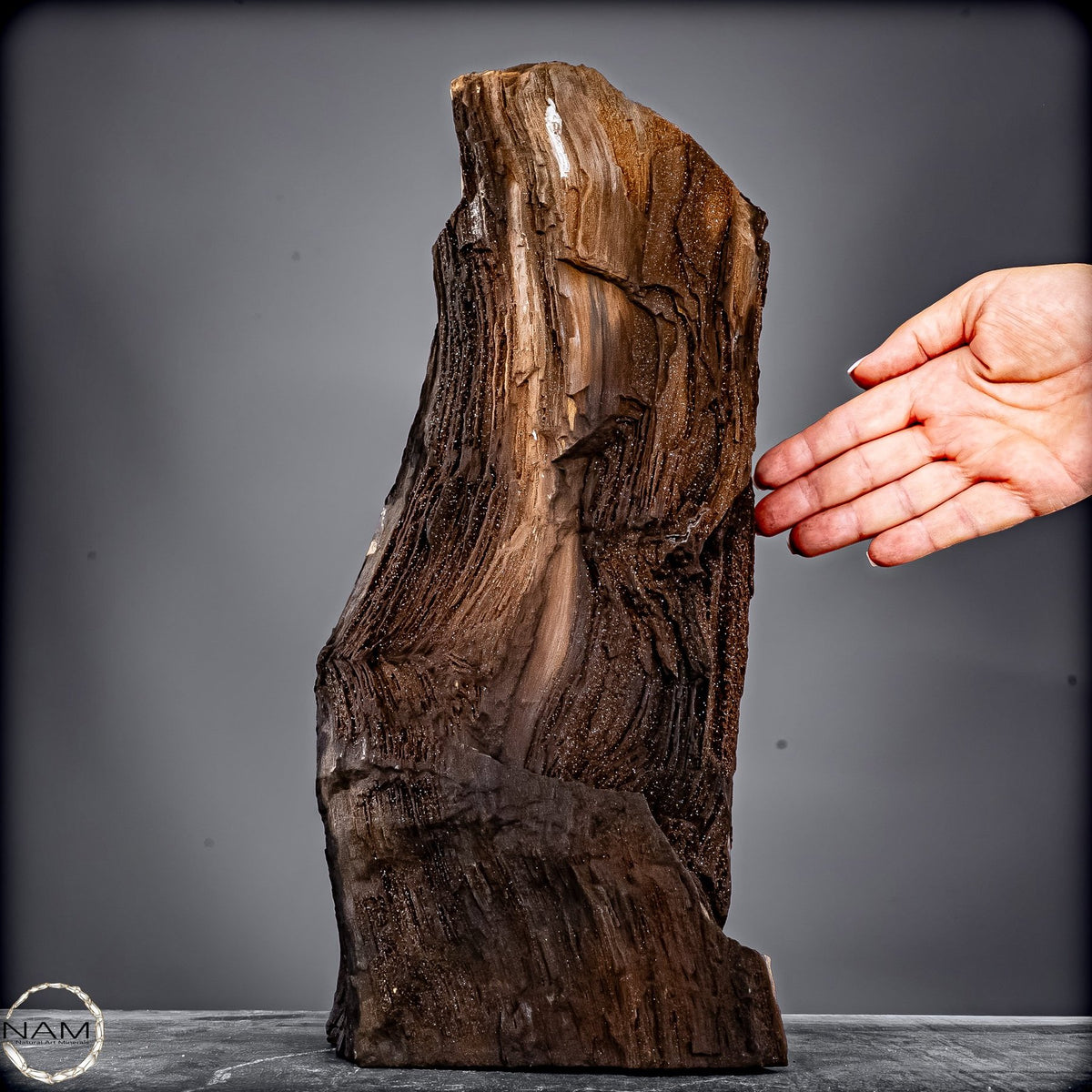 Feenholz – Ein außergewöhnliches Naturkunstwerk  – 7174,96g