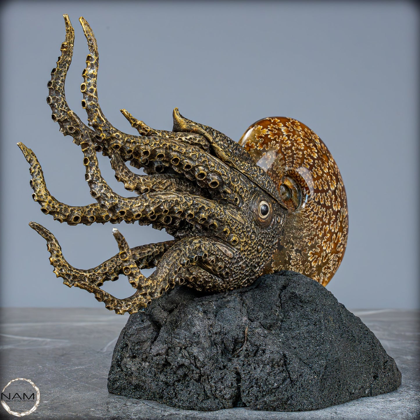 Natürlicher Ammonite verbunden mit Meisterhafter Kunst - 1079,22g