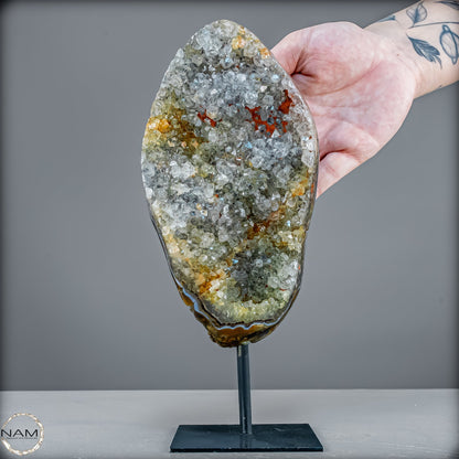 Amethyst-Prasiolith-Druse auf Ständer  (grüner Amethyst) – 1250,20g