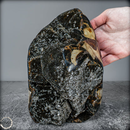 Natürliche Septarien Druse mit Calzit Kristallen - 3257,38g