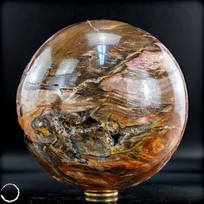 Natürliche Kristall-Kugel aus Versteinertem Holz  -3508,88g