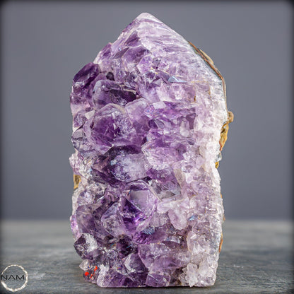 Natürliche Amethyst-Kristall Druse/Spitze - 718,19g
