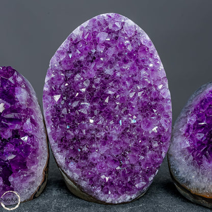Amethyst-Drusen-Set – Drei einzigartige Kristallwelten – 1641,91g
