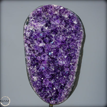 Natürliche Amethyst-Kristalle/Druse auf Ständer - 3254,18g
